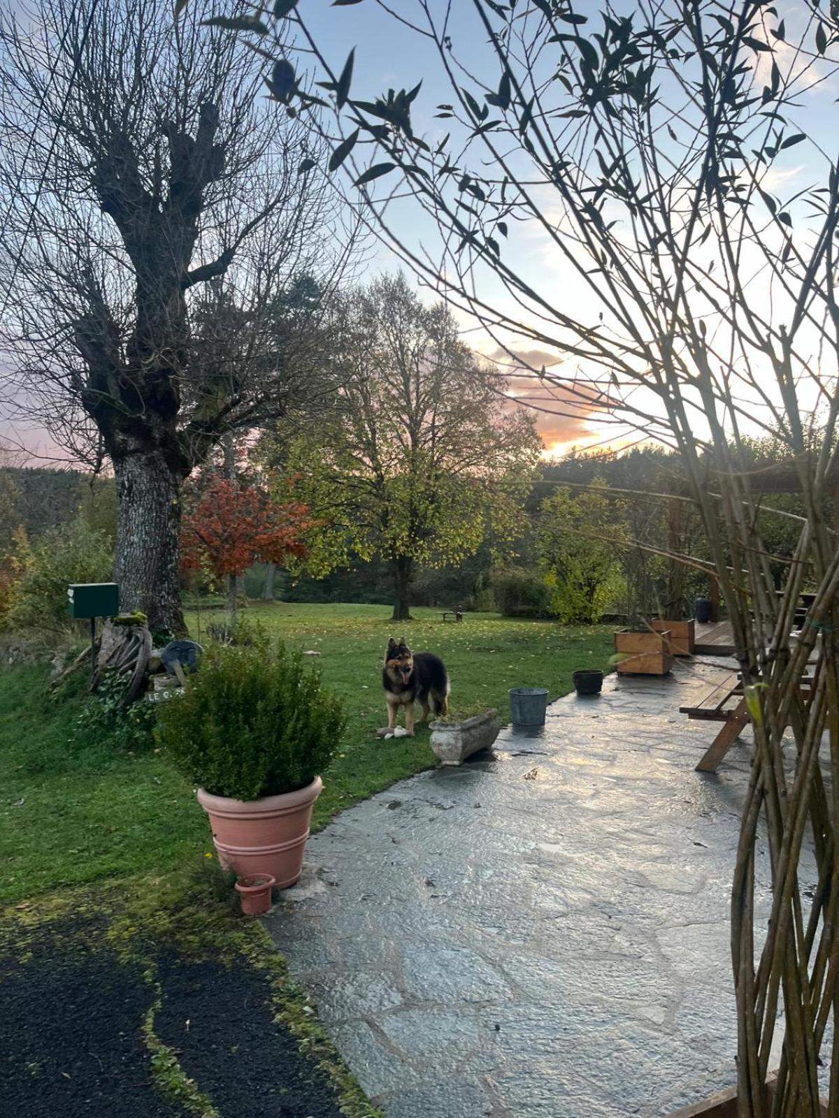 La Ferme Du Garnasson Otel Doranges Dış mekan fotoğraf